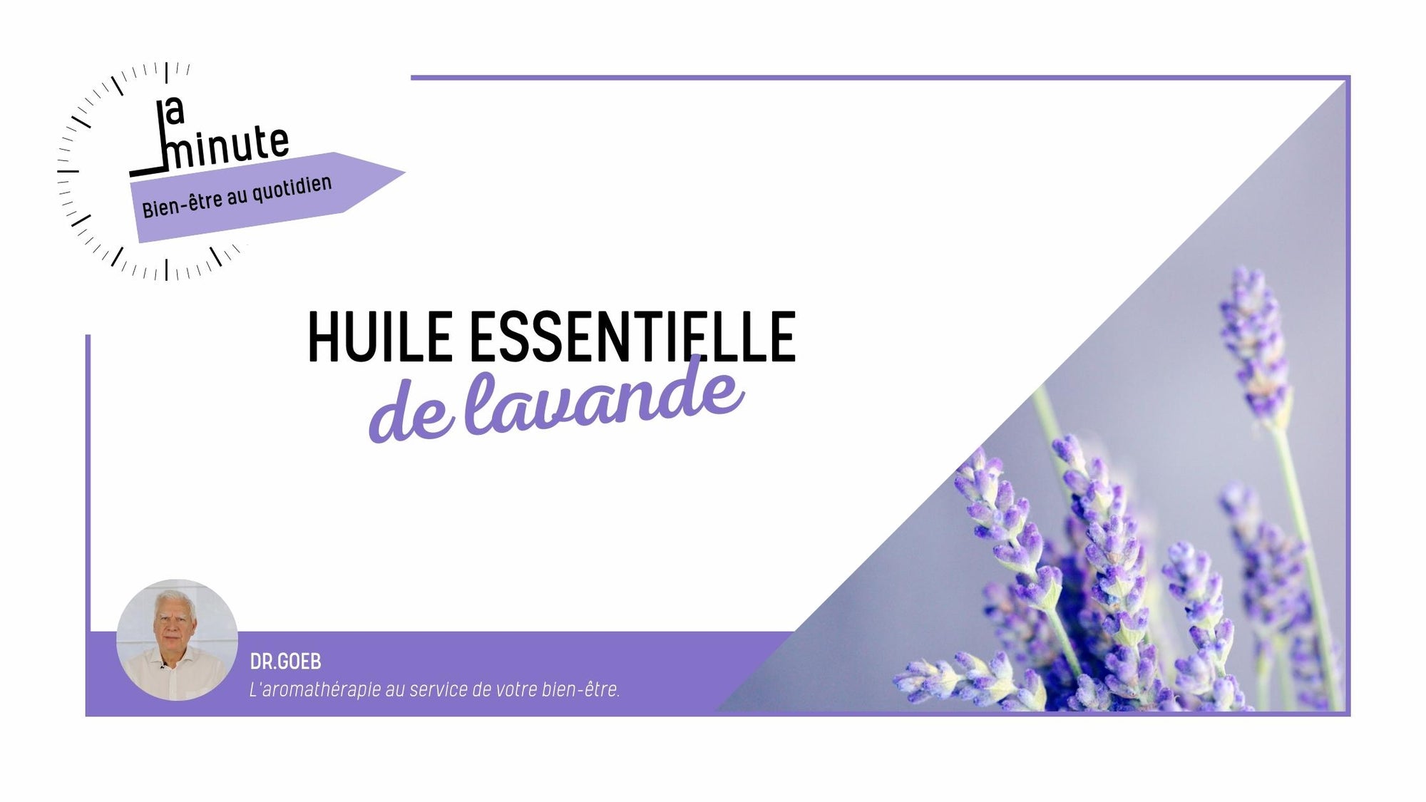 Lavande : Utilisations et bienfaits pour le confort quotidien