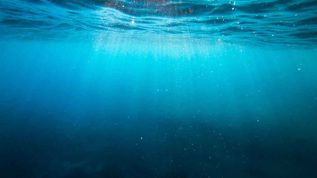 Vue sous-marine de l'océan, lieu d'extraction du plasma marin