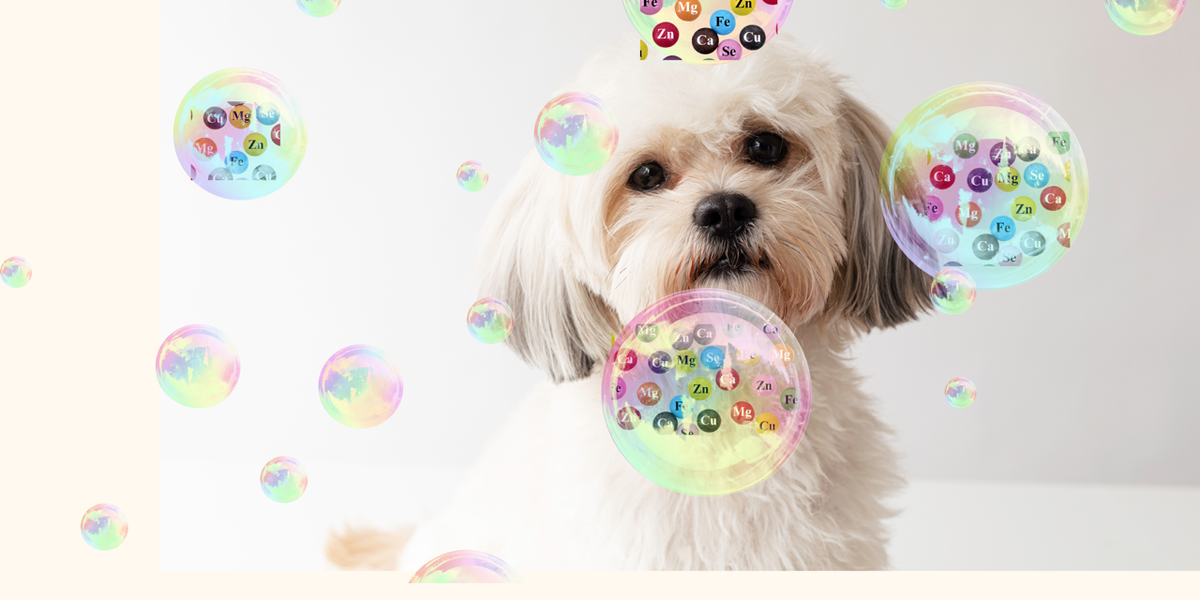 Analyse de poils seule